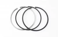 купить Кольца поршневые (на 1 поршень) стандарт 6ISLe, L, QSL